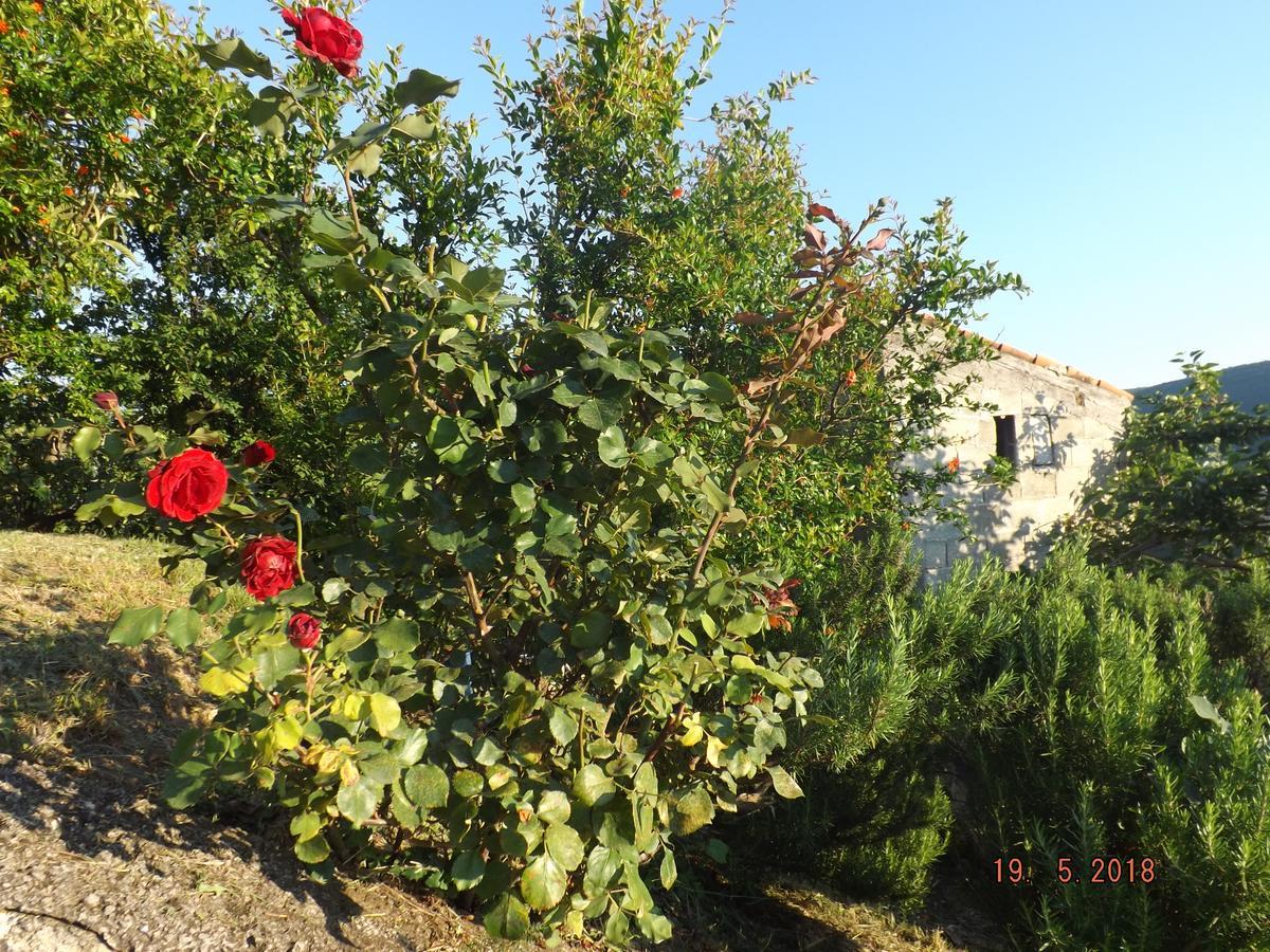 Apartamento Raj Kotor Exterior foto